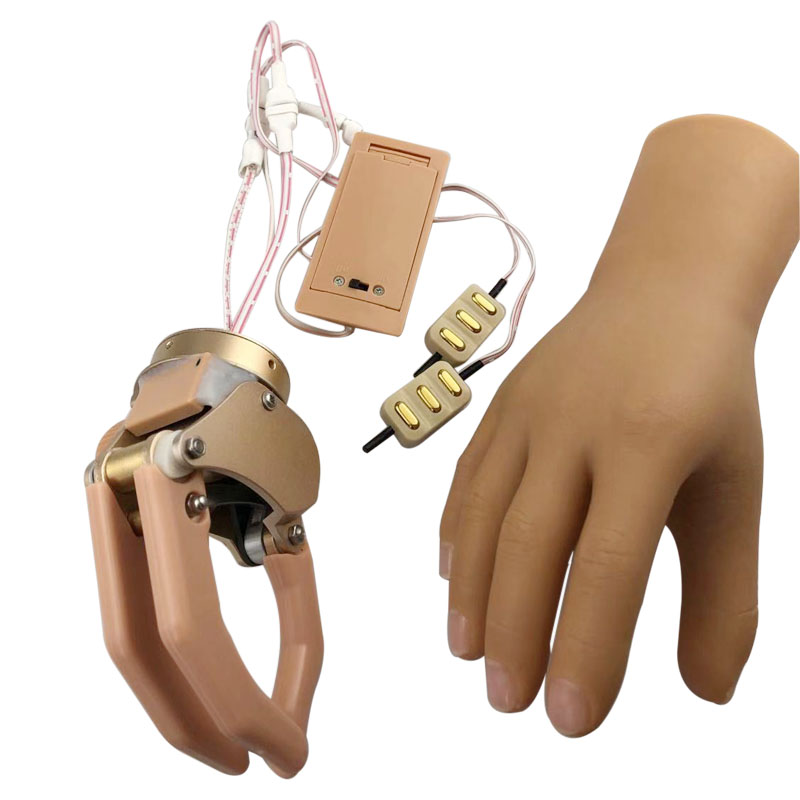 China Myoelectric Half Palm Hand with One Degree of Freedom for BE ...